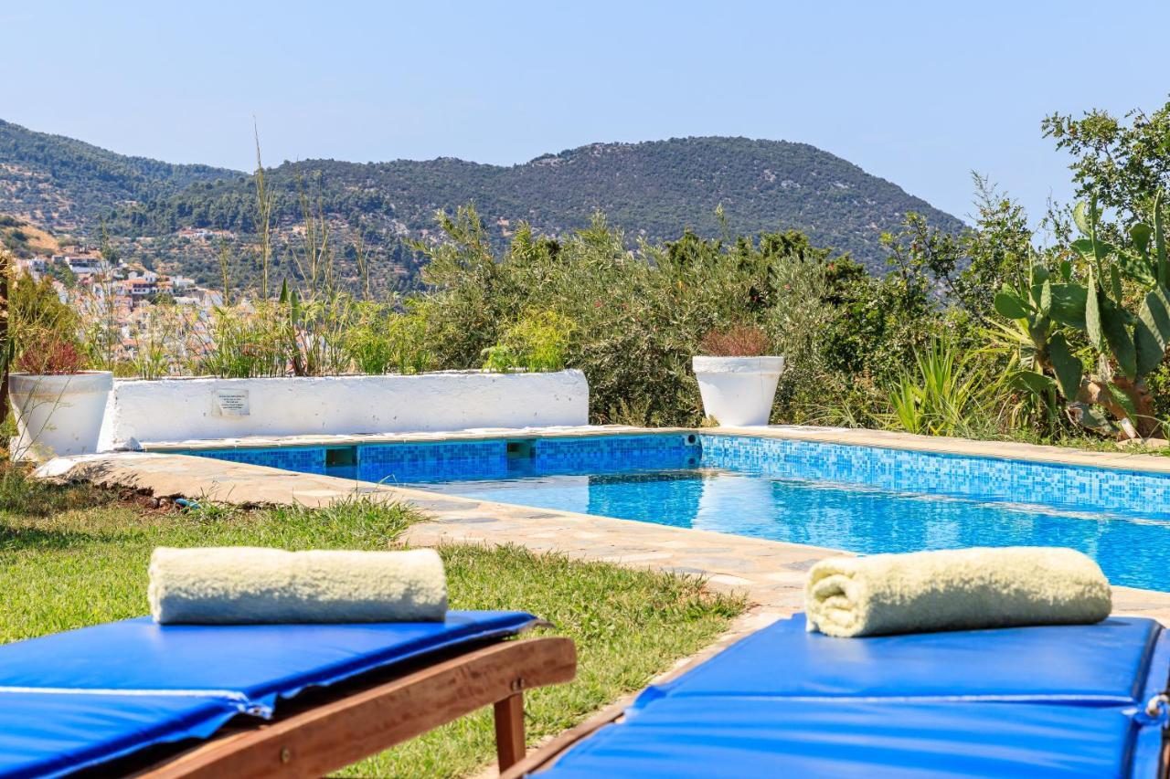 Villa Rodia With Swimming Pool On Skopelos Island Dış mekan fotoğraf